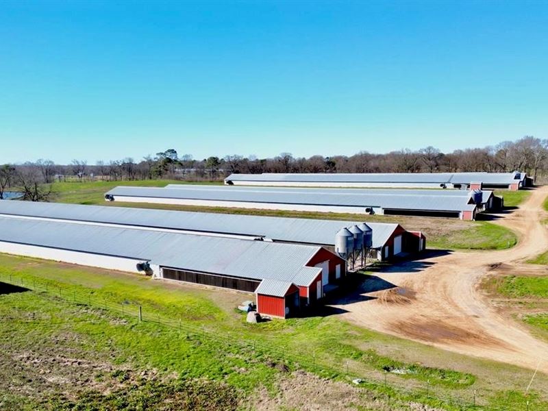 Mississippi Poultry 6-House Broiler : Lena : Scott County : Mississippi