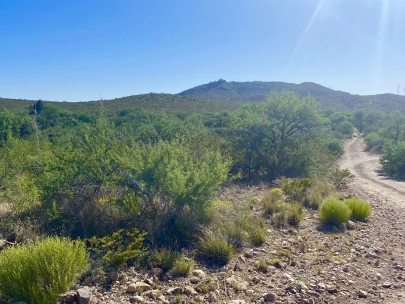 Lowered, Rincon Mtn for a Backyard : Vail : Pima County : Arizona