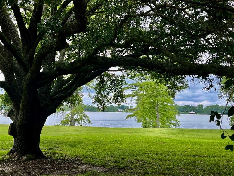 Second Most Beautiful Lot on Lake : Saint Joseph : Tensas Parish : Louisiana