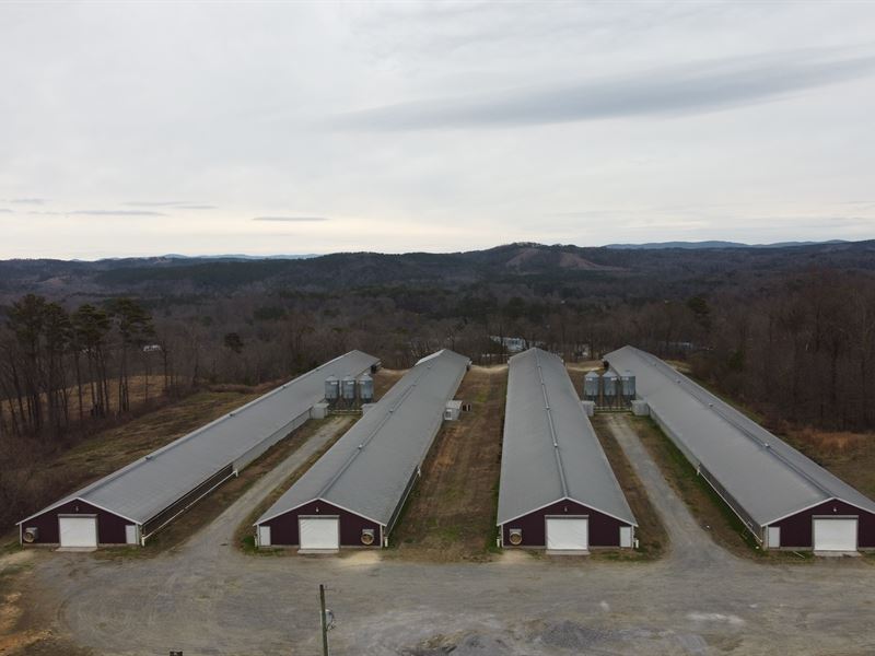 Clean 4 House Broiler Poultry Farm : Fairmount : Gordon County : Georgia