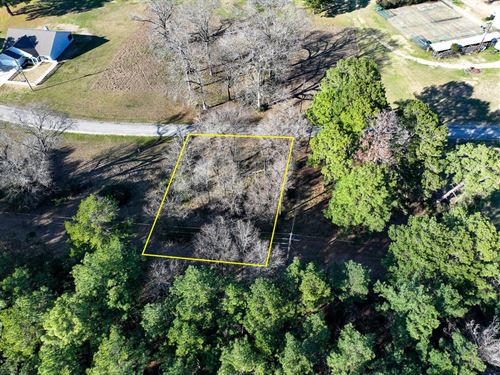 Jamestown Road, Trinity Plantation : Trinity : Texas