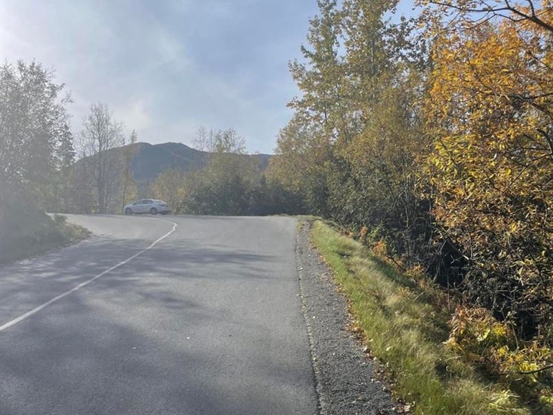 Nicely Treed Building Lot in Chugia : Chugiak : Anchorage Borough : Alaska