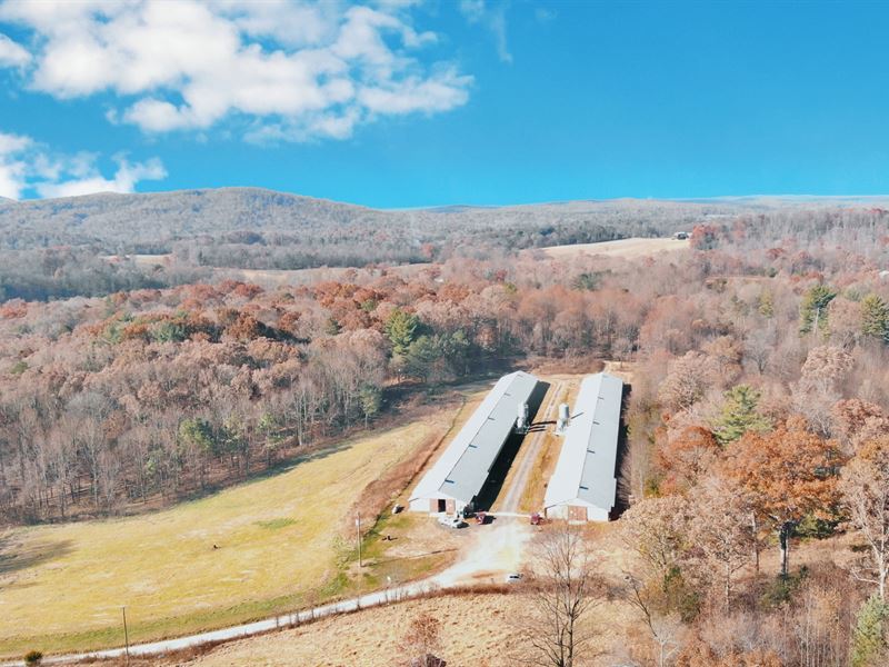 Nice 2 House Breeder Poultry Farm : Ellijay : Gilmer County : Georgia