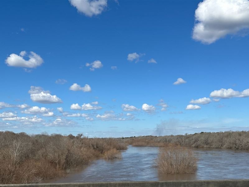 Altamaha High Bluff : Baxley : Appling County : Georgia