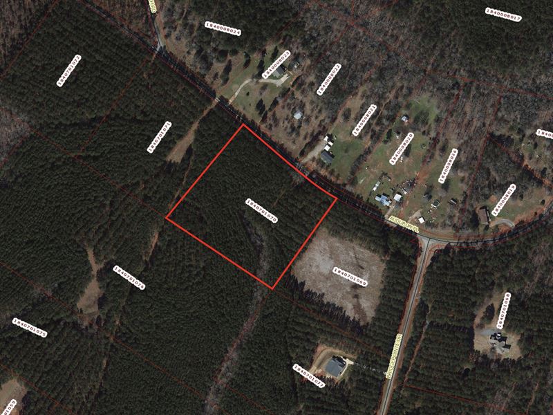 Wooded Private Acreage : Iva : Anderson County : South Carolina