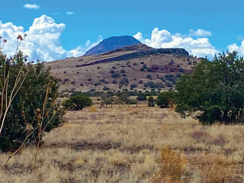 Wonderful 10 Ac to Build, Ash Fork : Ash Fork : Yavapai County : Arizona