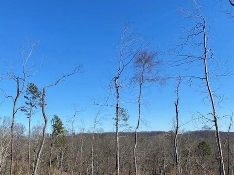 6.92 Acres Centrally Located Betw : Decatur : Meigs County : Tennessee