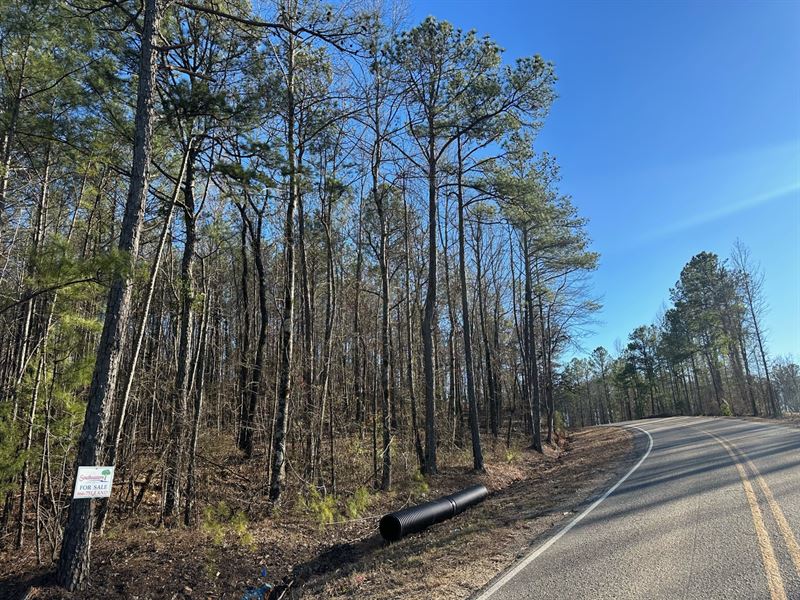 3 Acres Opelika, AL : Opelika : Lee County : Alabama