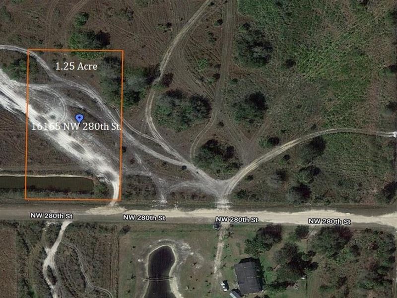 Homestead Friendly 1.25 Acre Lot : Okeechobee : Okeechobee County : Florida