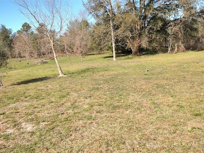 Quiet Country Setting : Lee : Madison County : Florida