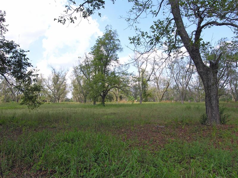 15.76 Acres Development Property : Waynesboro : Burke County : Georgia