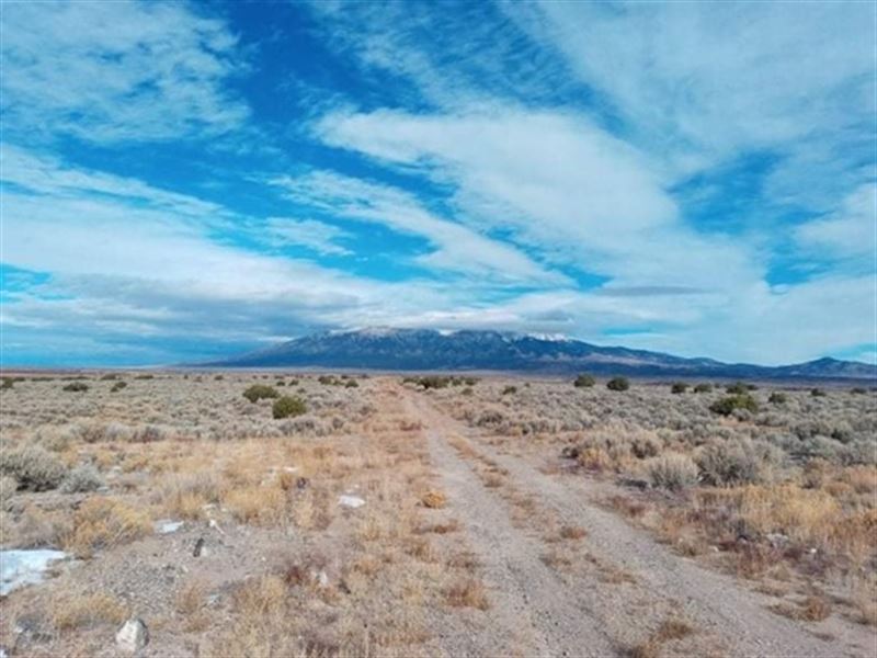 A 4.94 Acre Colorado Dream, Buy Now : Lasauses : Costilla County : Colorado