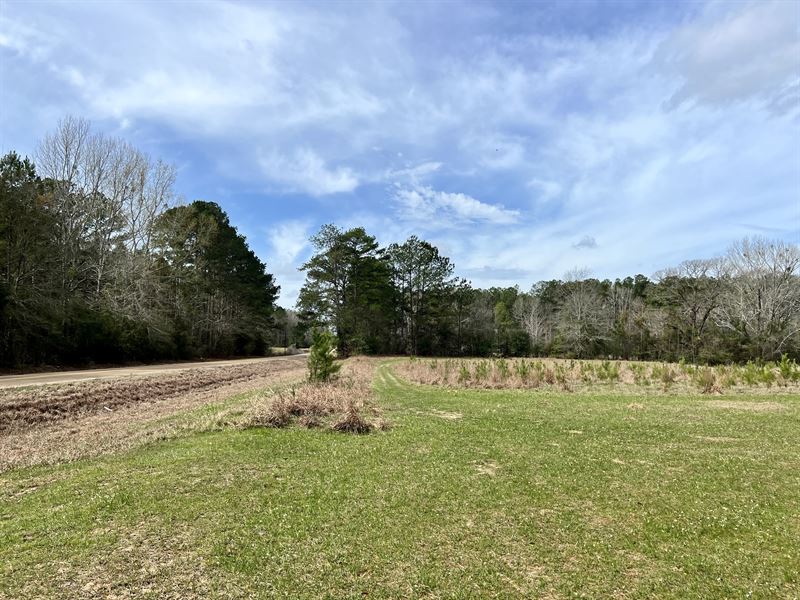 4.40 Ac Hwy 24, Liberty, MS : Liberty : Amite County : Mississippi