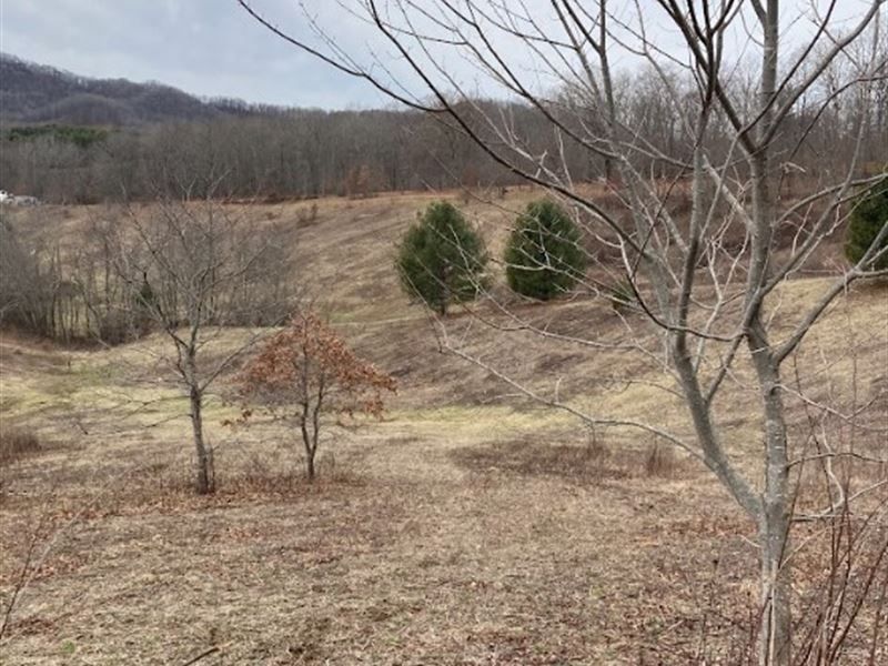 Campers' Paradise, Ashe County Land : Grassy Creek : Ashe County : North Carolina