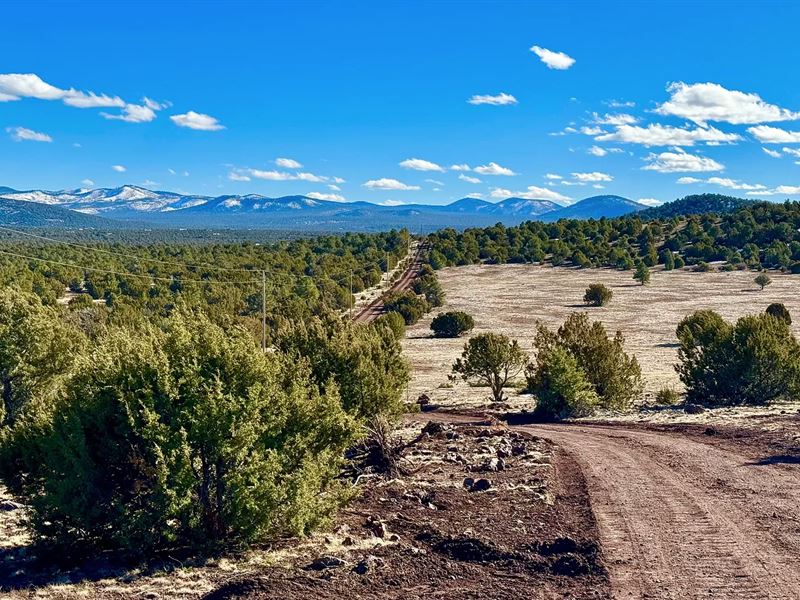 With Power and Seasonal RV : Vernon : Apache County : Arizona