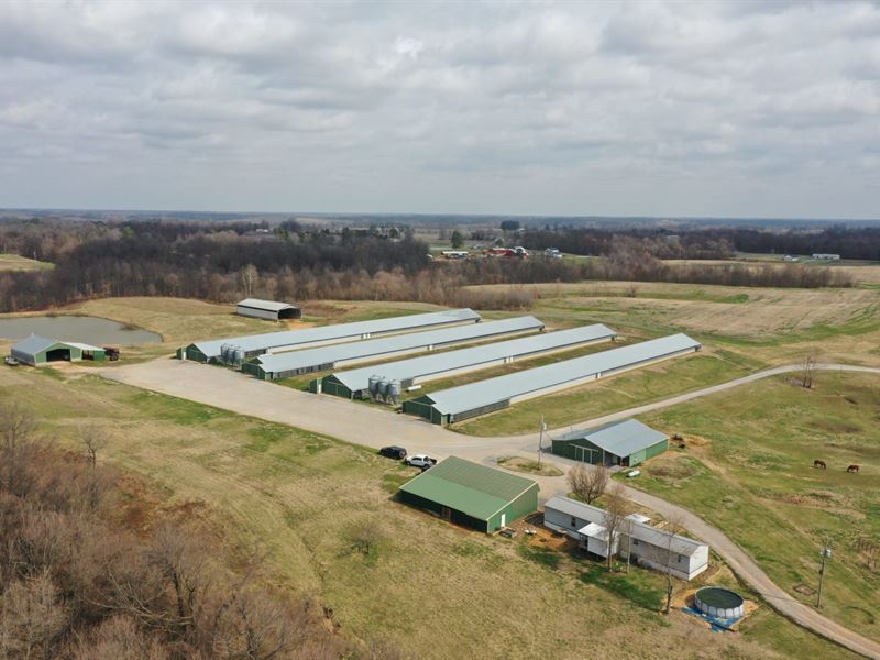 Sun Ridge Broiler Farm : Wingo : Hickman County : Kentucky