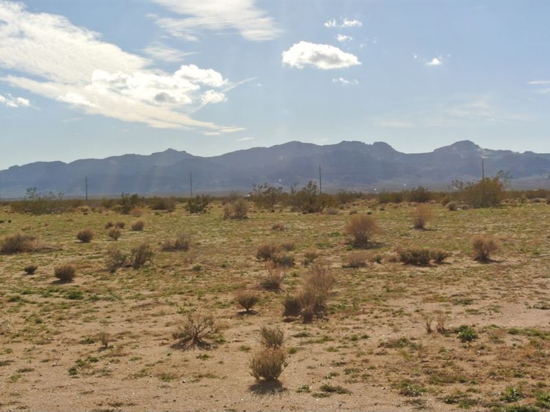 The Crossroads of Opportunity : Golden Valley : Mohave County : Arizona