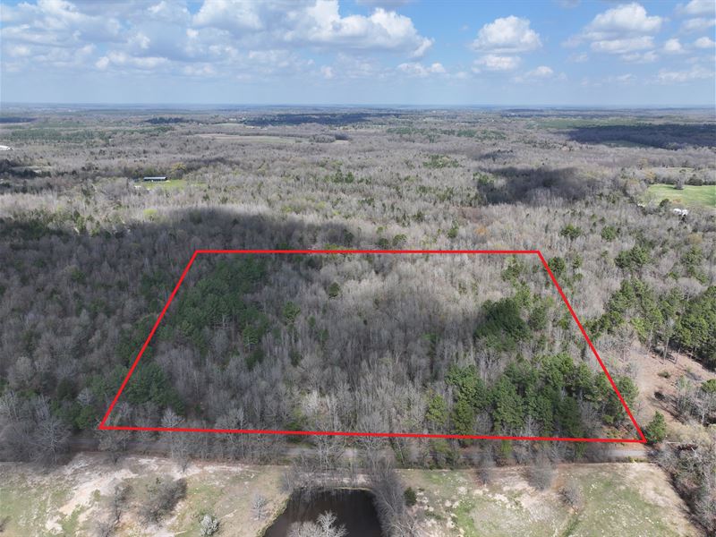 10 Acres in Camp County, TX : Leesburg : Camp County : Texas