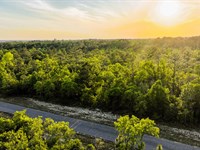 Wave Goodbye to Snow Shovels : Chipley : Washington County : Florida