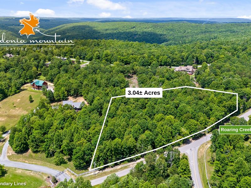 3.04 Ac in TN : Dunlap : Sequatchie County : Tennessee