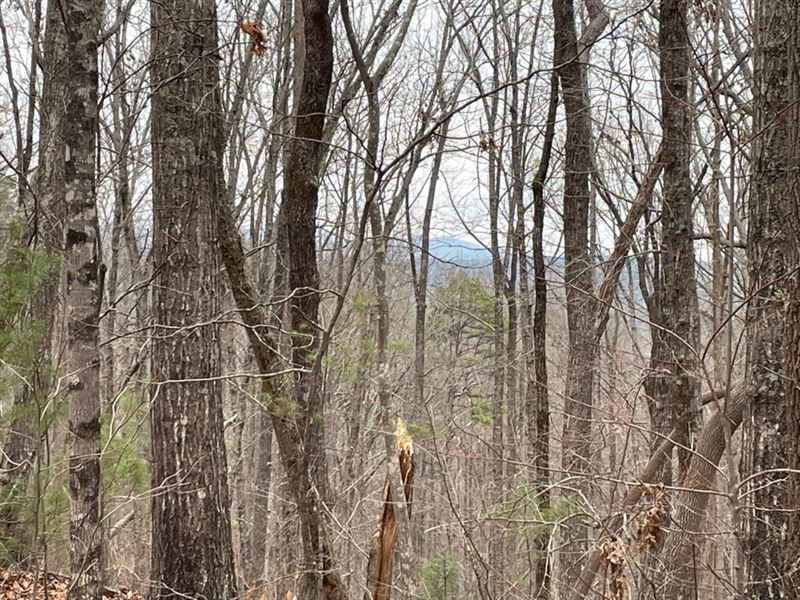 Reduced, 7.5 Acre Tract 1 : Tamassee : Oconee County : South Carolina