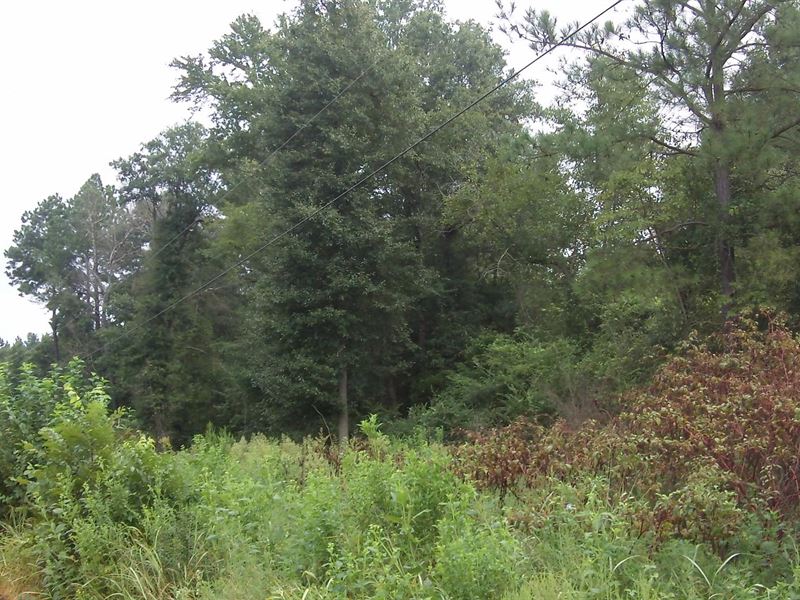 Keysville Farms, 4.34 Acre Lot : Keysville : Burke County : Georgia