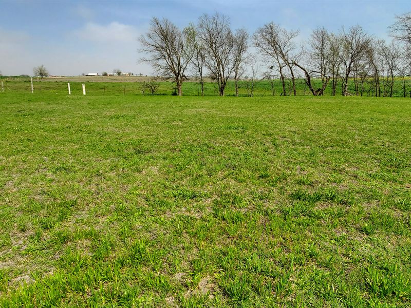 Graveled Driveway Off of Hwy 53 : Temple : Bell County : Texas