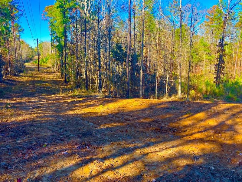 2.470 Acres Near Wesson, Mississipp : Wesson : Copiah County : Mississippi