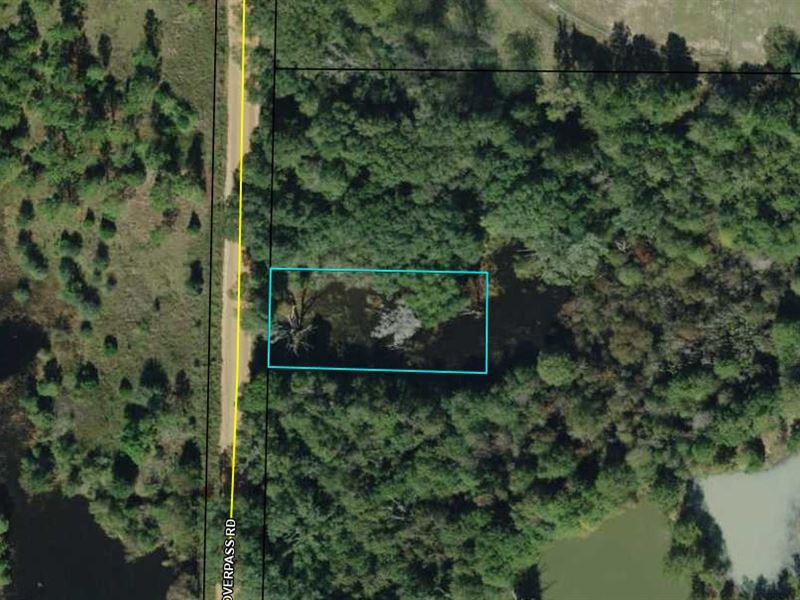 .5 Acre Lot in Jackson County : Campbellton : Jackson County : Florida