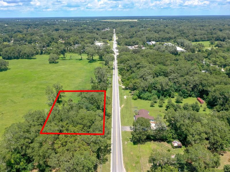 Own 1.30 Acre in Anthony, FL : Anthony : Marion County : Florida