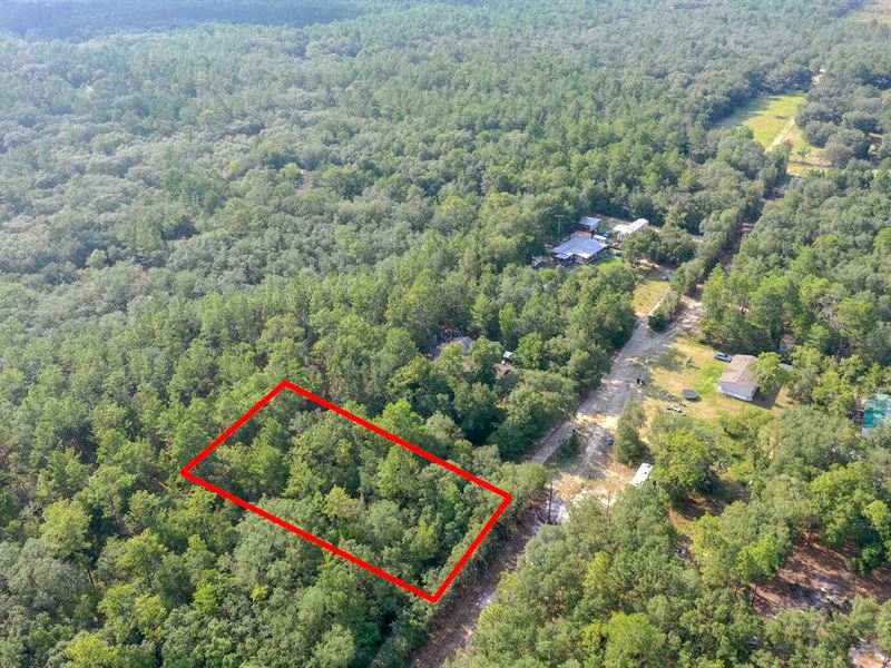 .30 Acre Property in Florida : Keystone Heights : Clay County : Florida