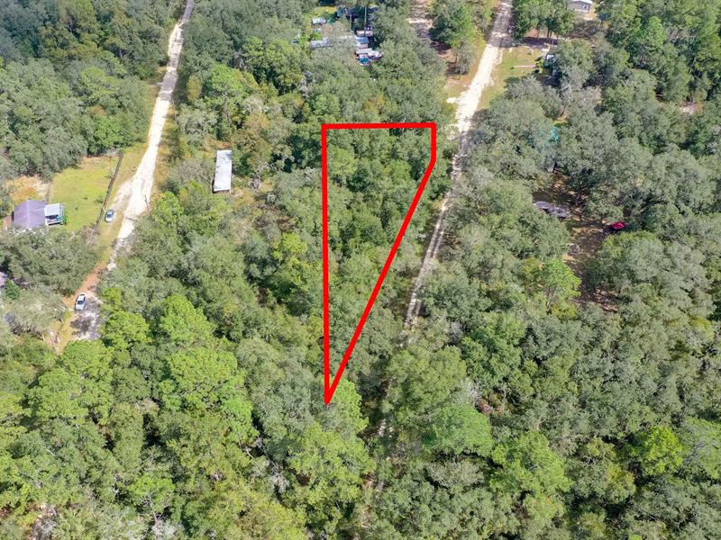 .56 Acre in East Bronson, FL : East Bronson : Levy County : Florida