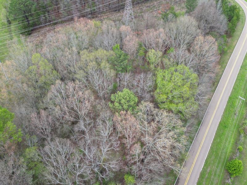 Cole Road, I220 : Ridgeland : Madison County : Mississippi