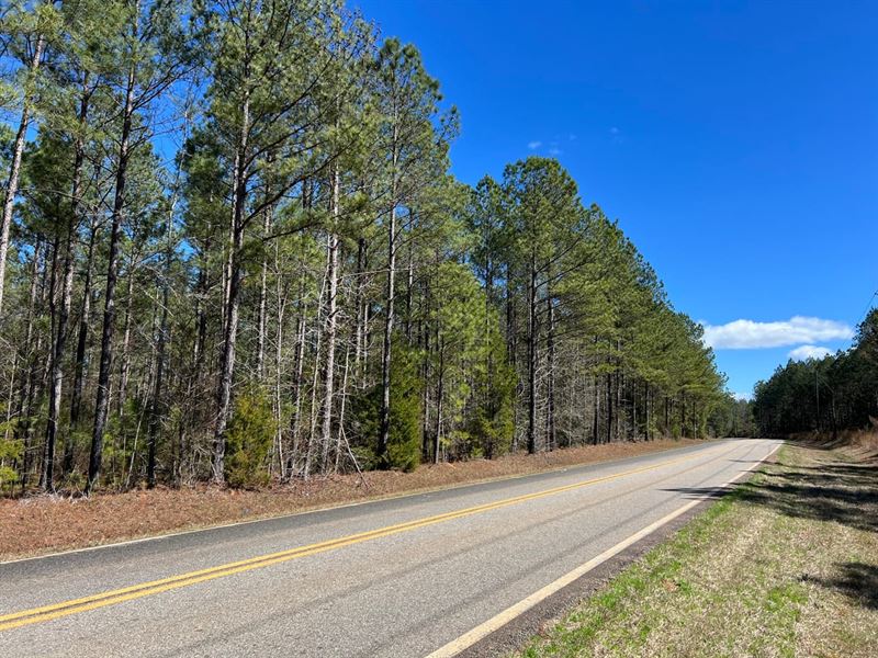 Wooded Homesites/Long Rd Frontage : Elberton : Elbert County : Georgia