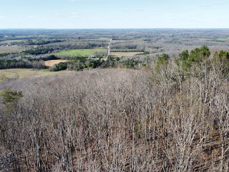 Bankhead National Forest 15 Acres : Moulton : Lawrence County : Alabama