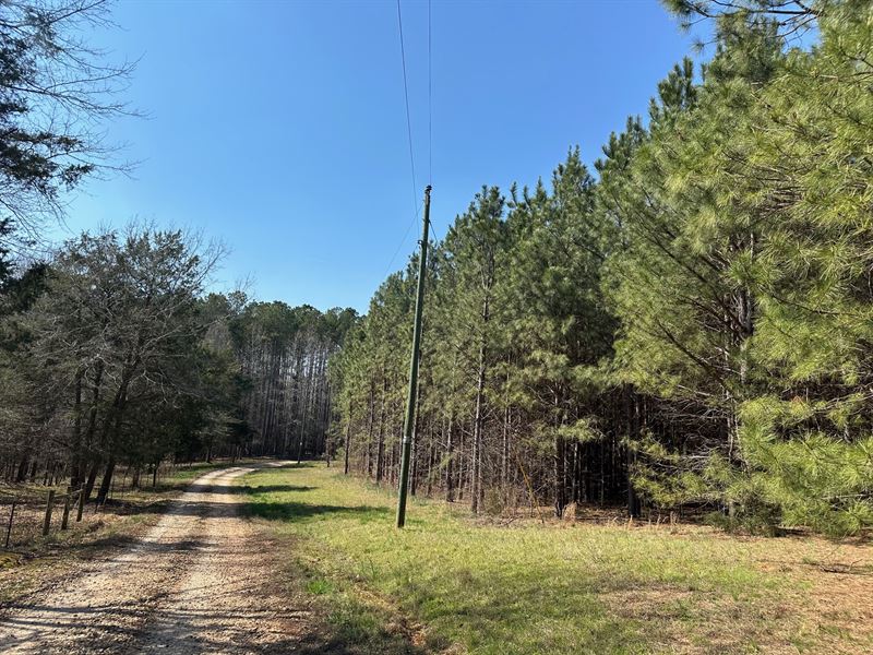 Pine Hill Tract : Danielsville : Madison County : Georgia