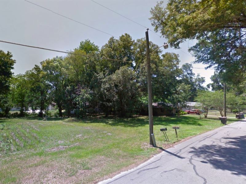 Nice Quarter Acre Lot in Ocala, FL : Ocala : Marion County : Florida