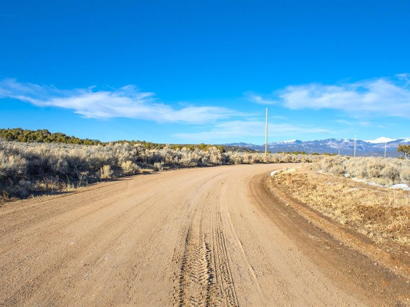 Mountain View, Wild Horses in CO : San Luis : Costilla County : Colorado