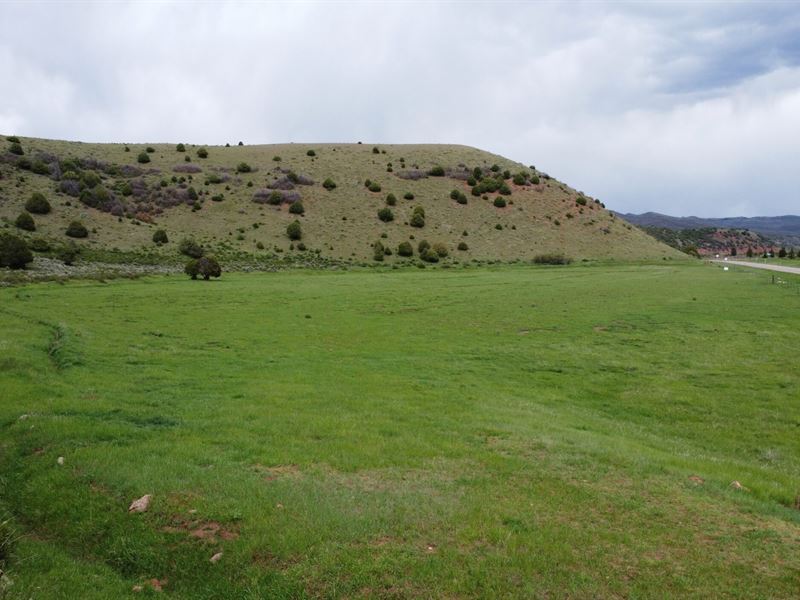 Avery Meadow : Meeker : Rio Blanco County : Colorado