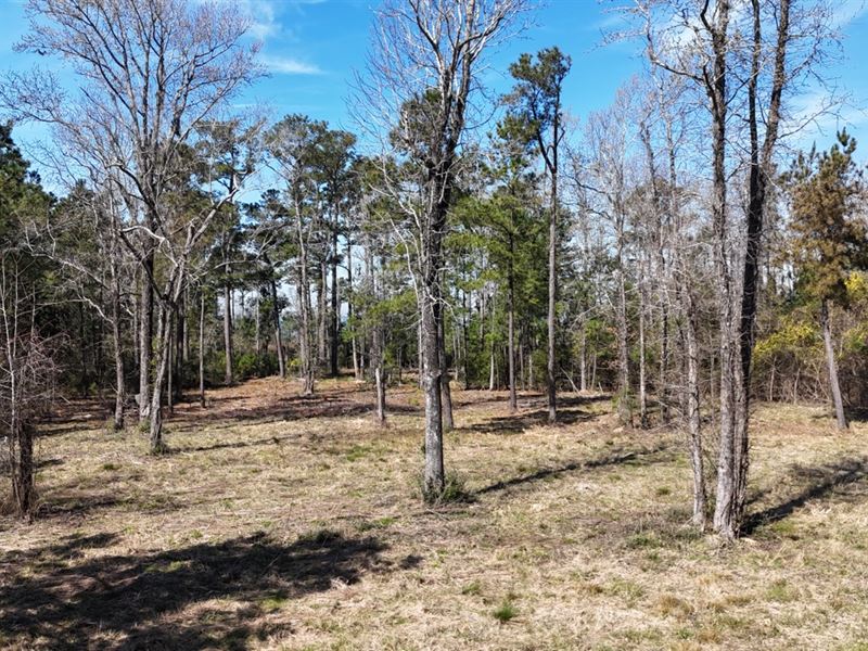 Waterfront Lot for Sale, Beaufort : Beaufort : Carteret County : North Carolina