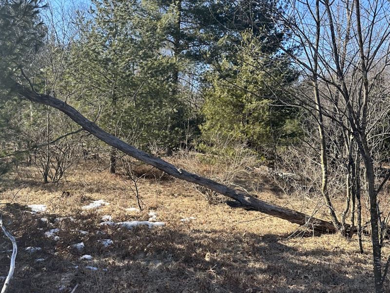 Builders Dream, Shawano Golf Course : Wescott : Shawano County : Wisconsin