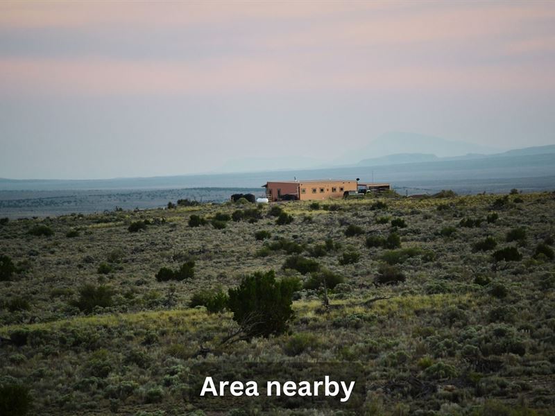 Two Adj Lots in Carrizozo, NM : Carrizozo : Lincoln County : New Mexico