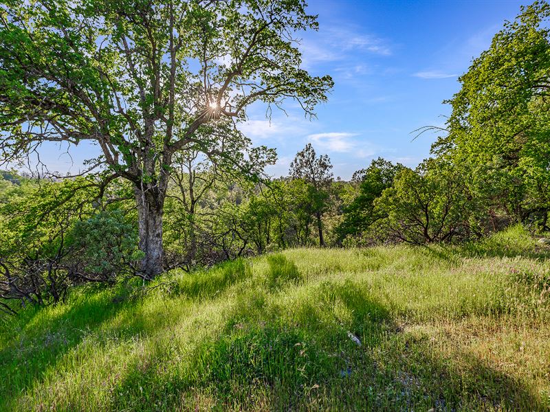 4+ Acres Inside City Limits : Redding : Shasta County : California