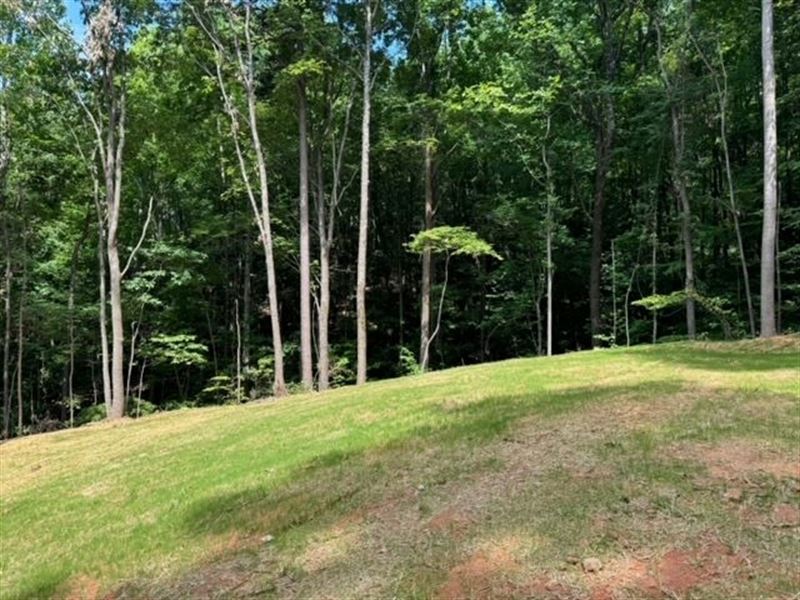 Lot 14, 5.10 Acres On Hidden : Landrum : Greenville County : South Carolina