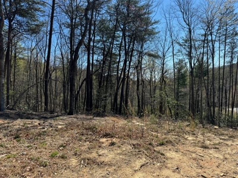 Lot 13, 5 Acres On Hideaway HI : Landrum : Greenville County : South Carolina