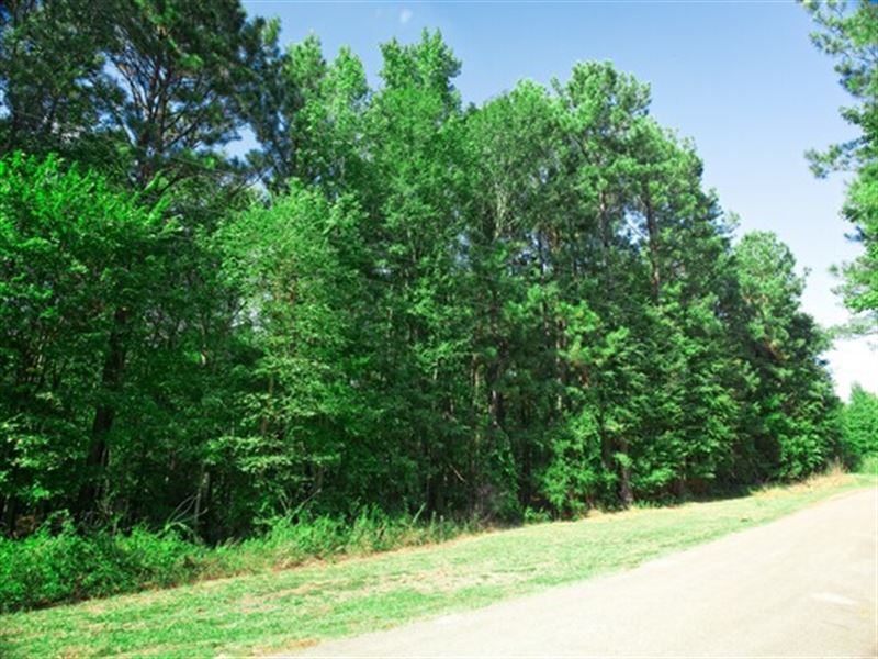 Large Lot Lake Community, $297/Mo : Jefferson : Harrison County : Texas