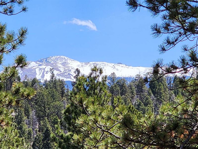 Pikes Peak View : Divide : Teller County : Colorado