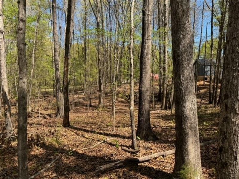 .52 Acres, Lot 1 : Laurens : Laurens County : South Carolina