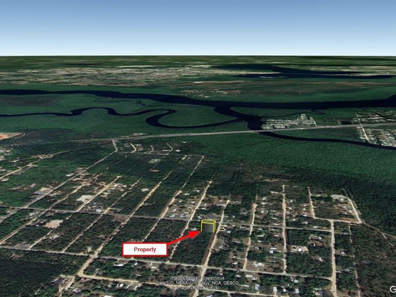 Trails, Creeks & Ponds, FL $193/Mo : Satsuma : Putnam County : Florida