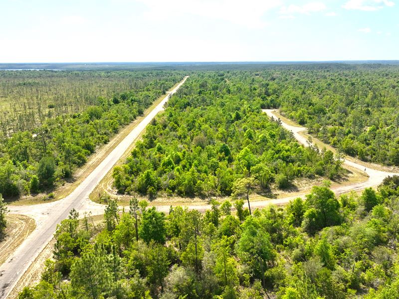 Build Near The Gulf of Mexico : Chipley : Washington County : Florida